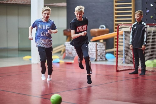 Danhostel Vejen Sport & Hytteby